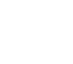 Visions Eyemark Logo