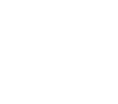 Visions Service Adventures