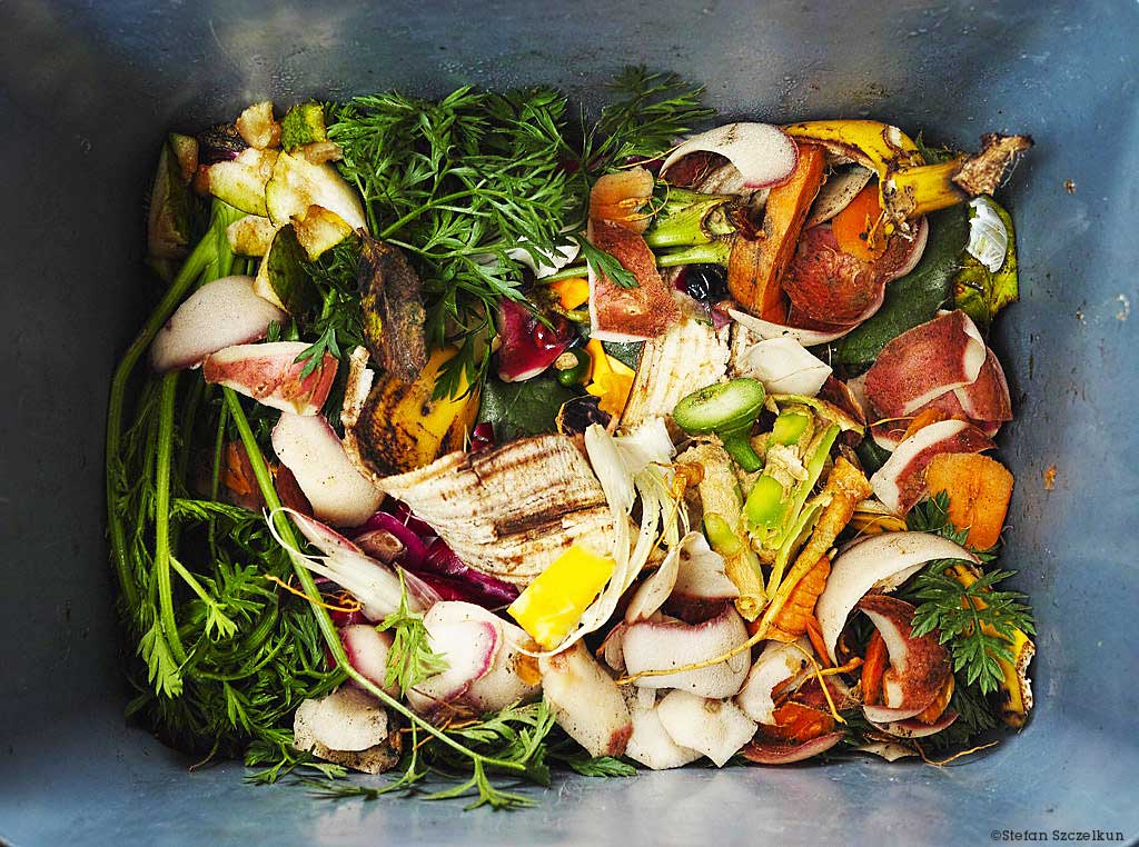 Curious About Composting? Here’s Our Advice on How to Begin
