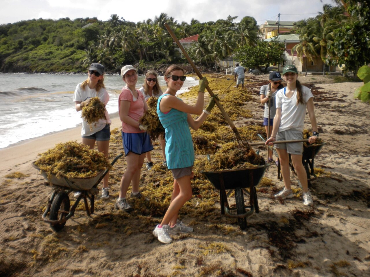 What is Service Learning & Why is it Effective? - VISIONS Service ...