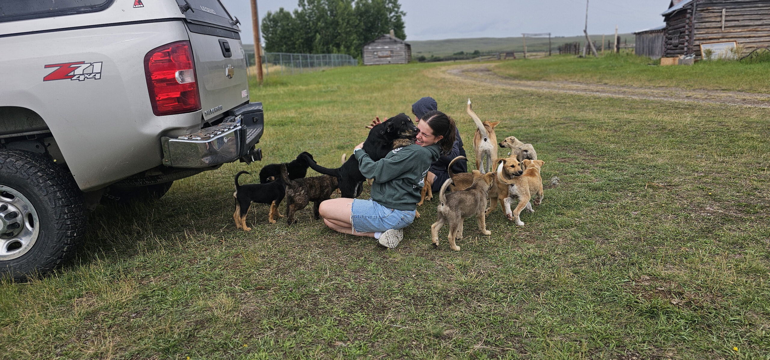 A woman kneels on grass beside a truck, hugging a black puppy, surrounded by a group of playful puppies. The scene is outdoors near dirt paths, wooden fences, and rustic buildings.