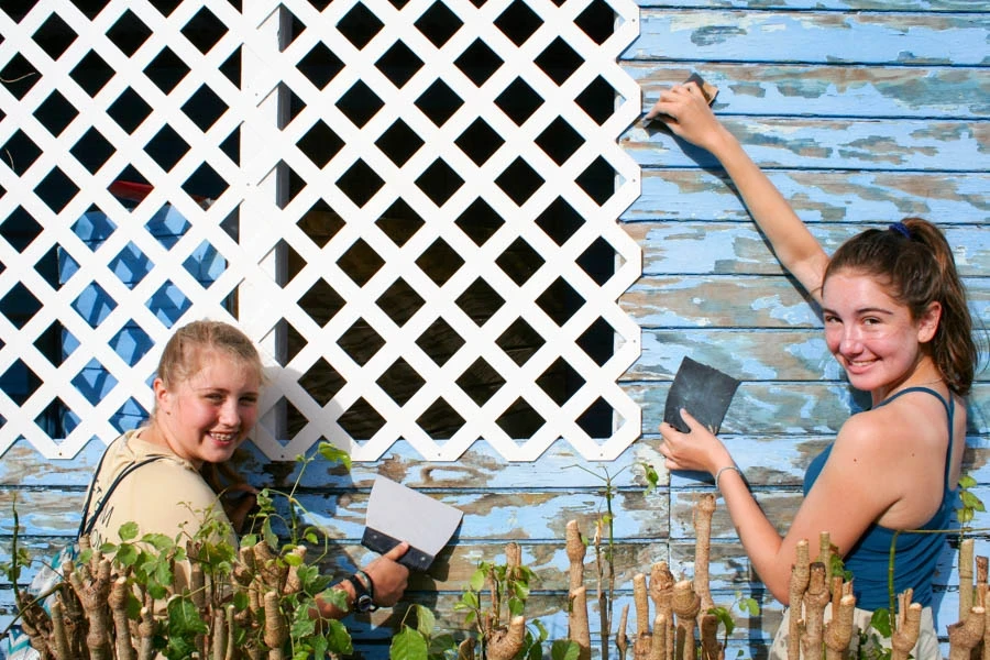 teenage volunteer summer programs