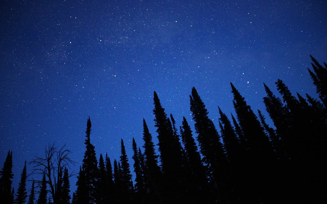 Evening Photo by Jasmine Berger