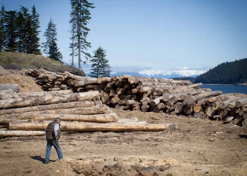 environmental diversity