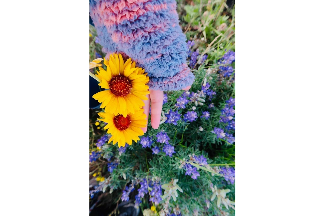 wildflowers roundup