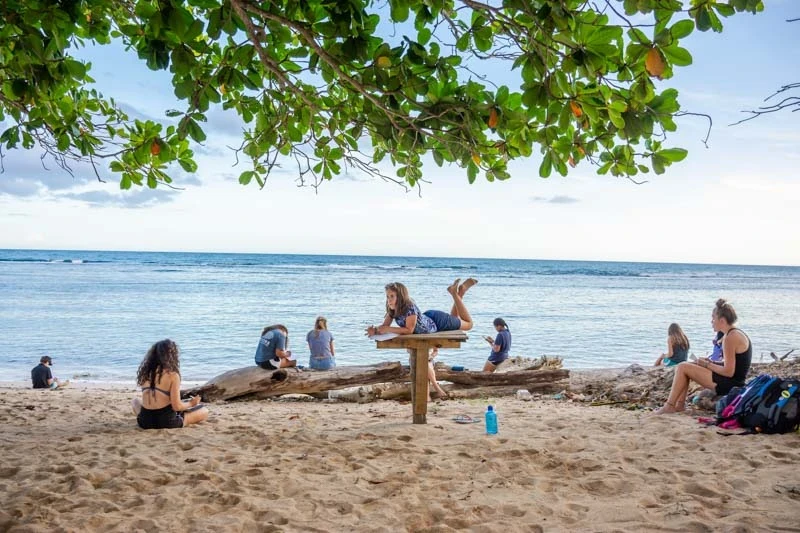 Teen service trip lounges on beach and journals in the DR. Program leaders relish in their dream job in the background.