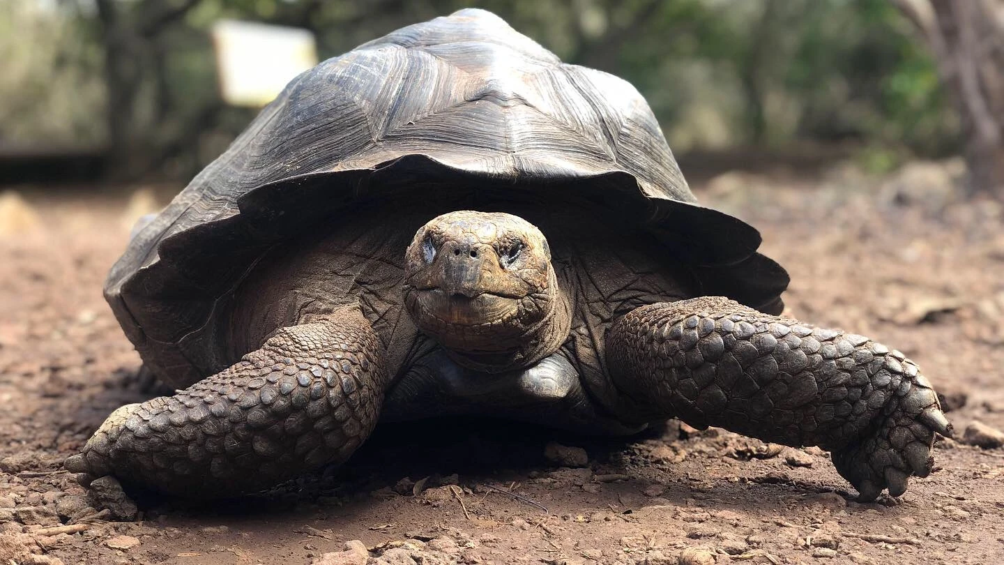 Sustainable Tourism in Galapagos