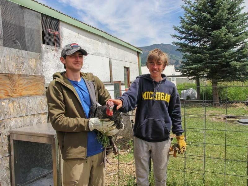 Sustainable farming Program