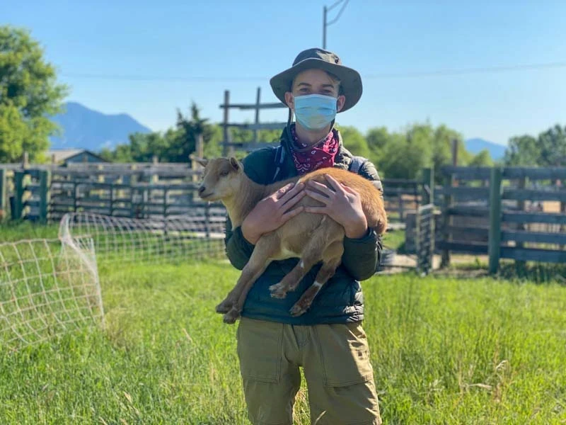 Montana Summer Service programs