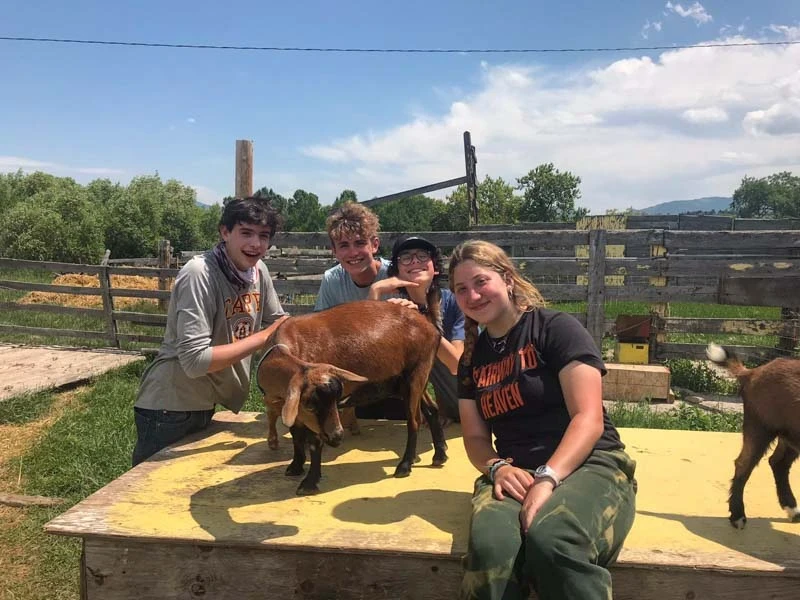 Farm Work Projects