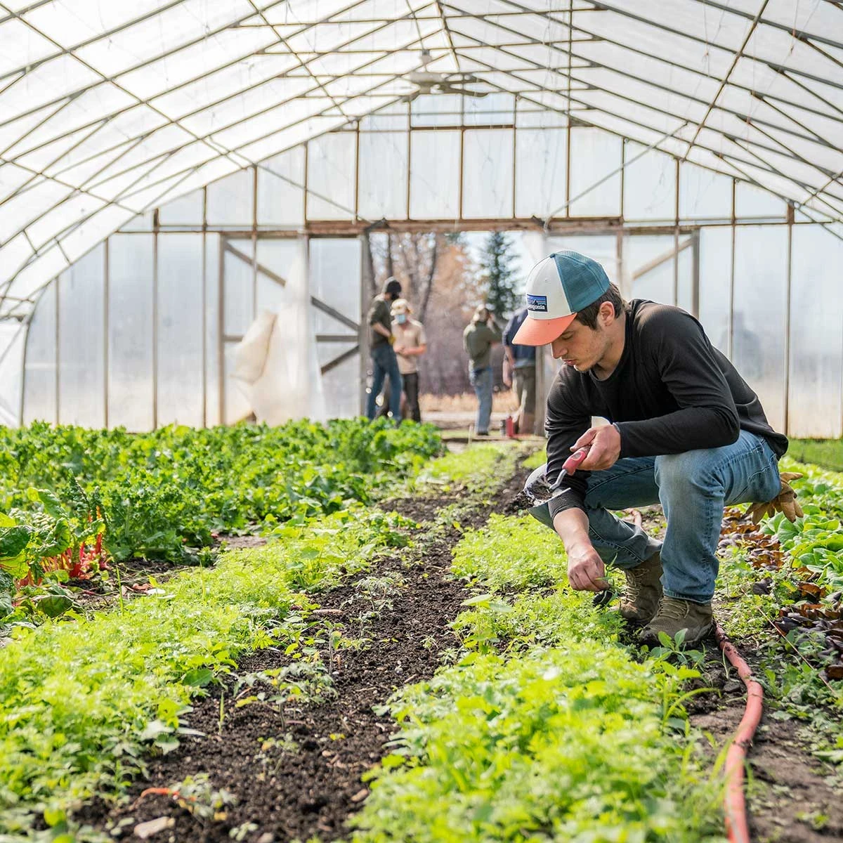 LOCATION SPOTLIGHT: OUR NEW MONTANA FARM