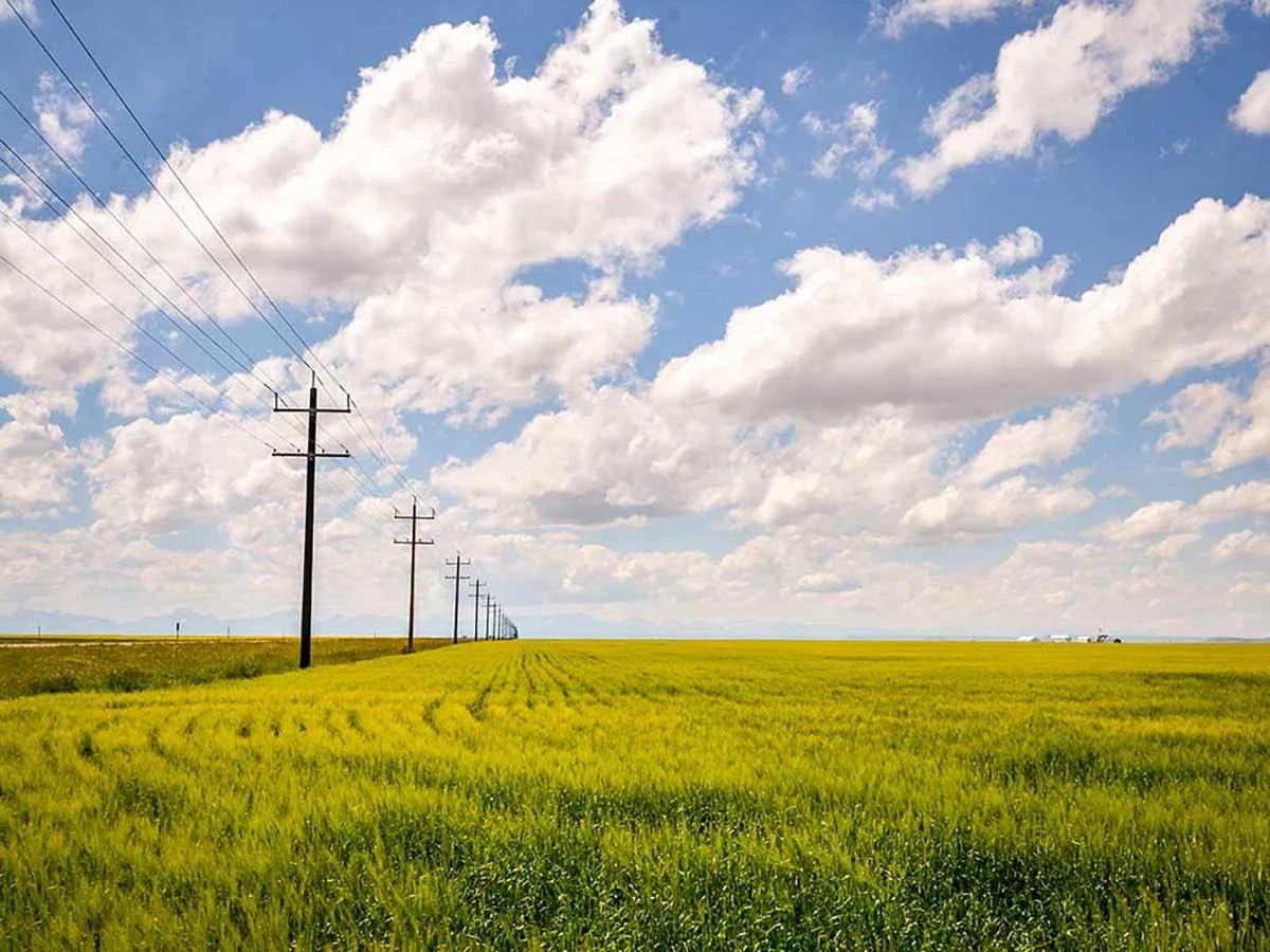 What is Project Drawdown?