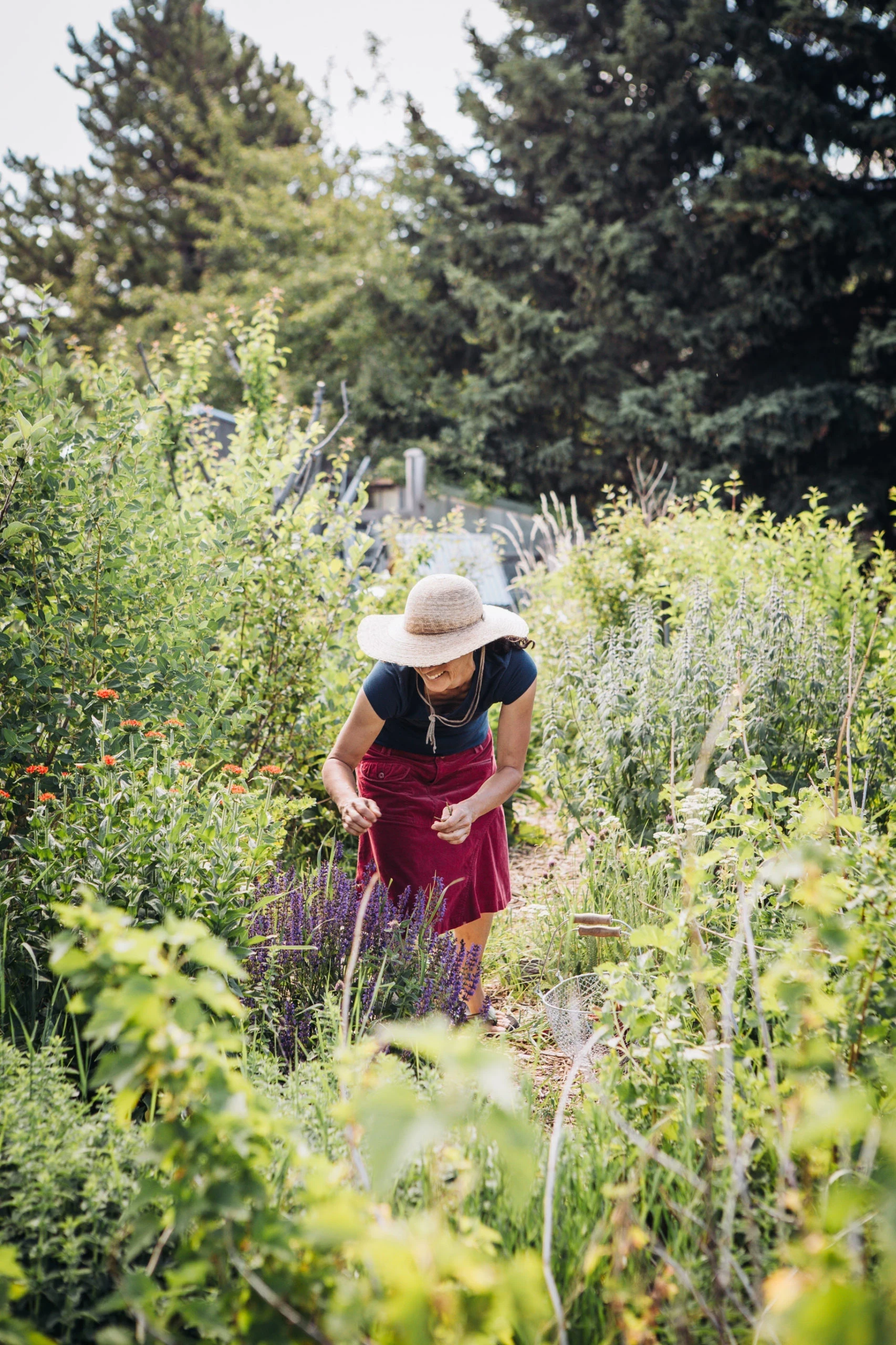 Empower Yourself with Permaculture
