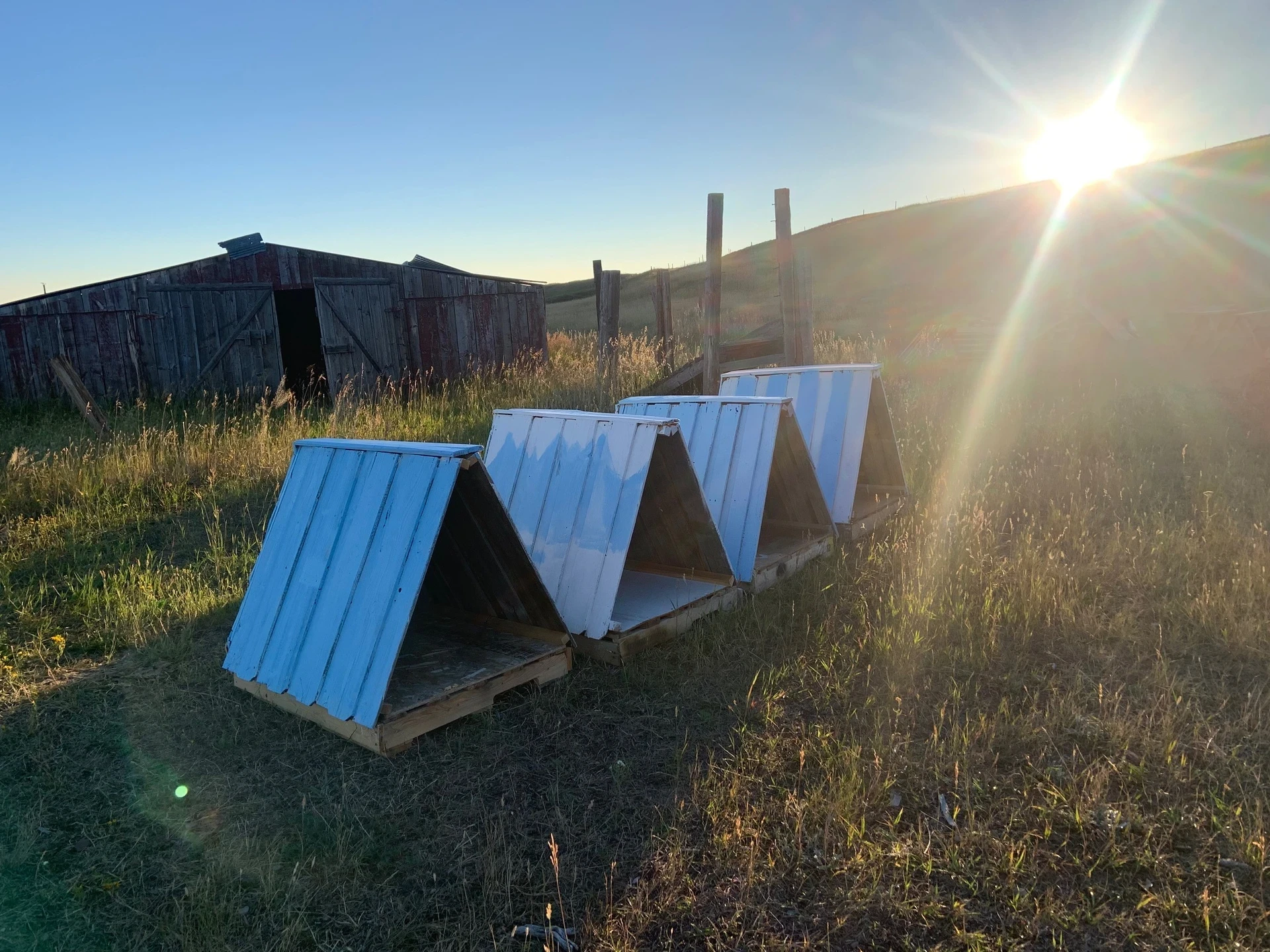Dog house Montana Blackfeet program VISIONS built dozens of dog houses to help dogs in the BVI escape the hot sun