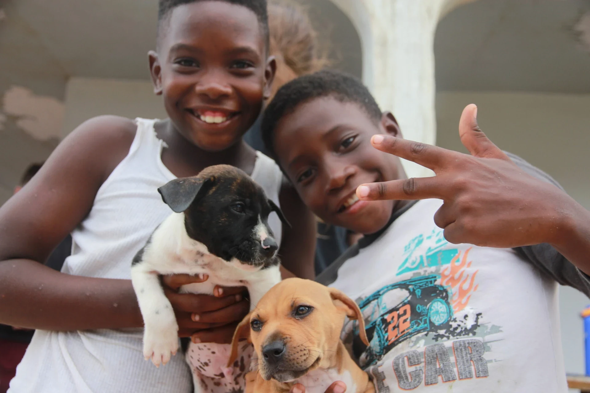 Paws-itive Impact: VISIONS Teens Volunteer on Animal Initiatives