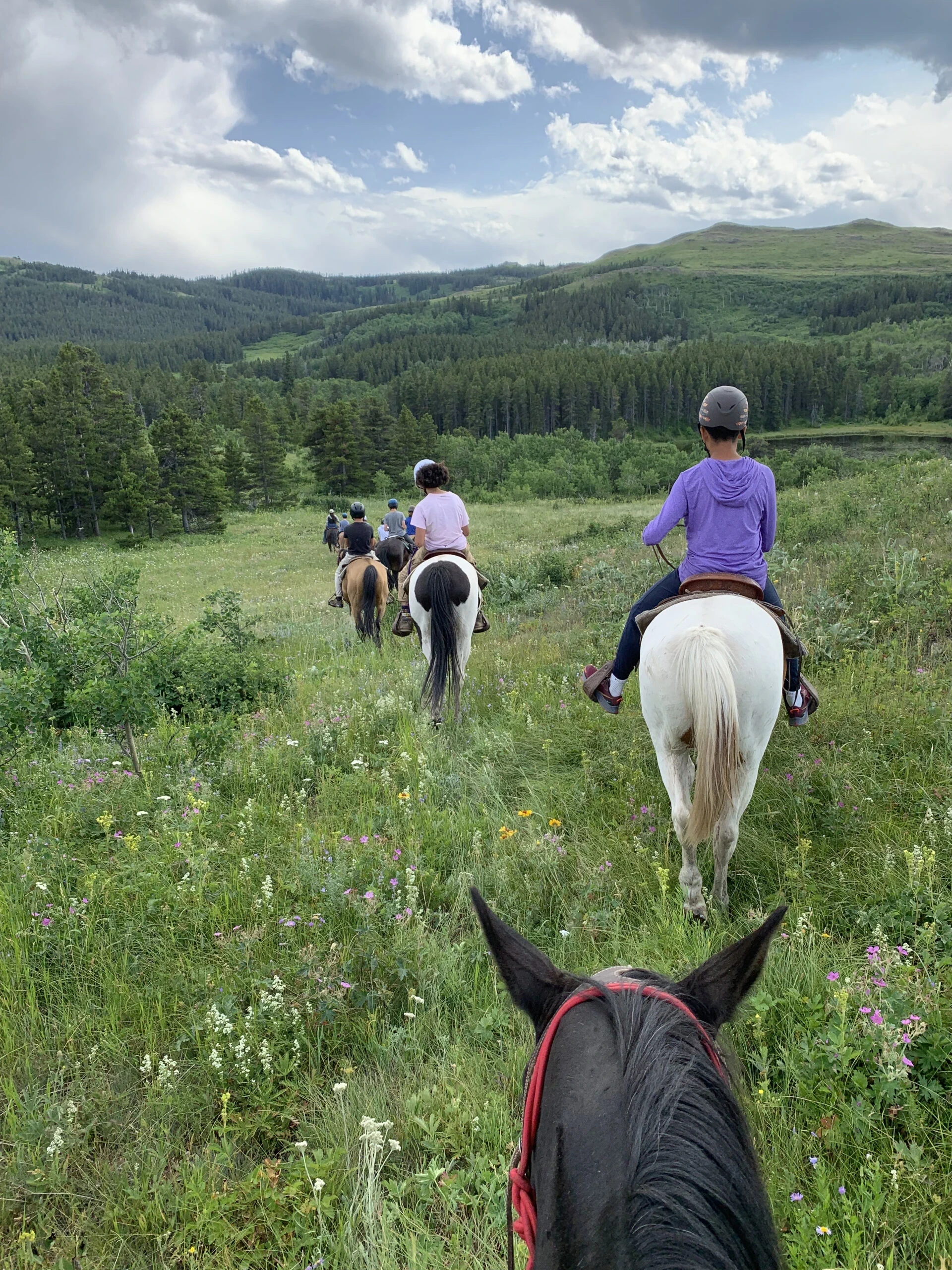 Life Under the Big Sky 5