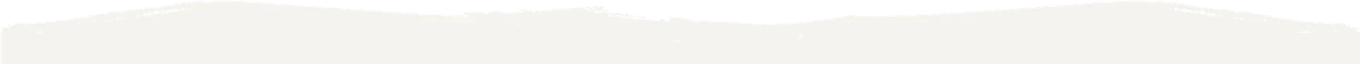 white brush bg