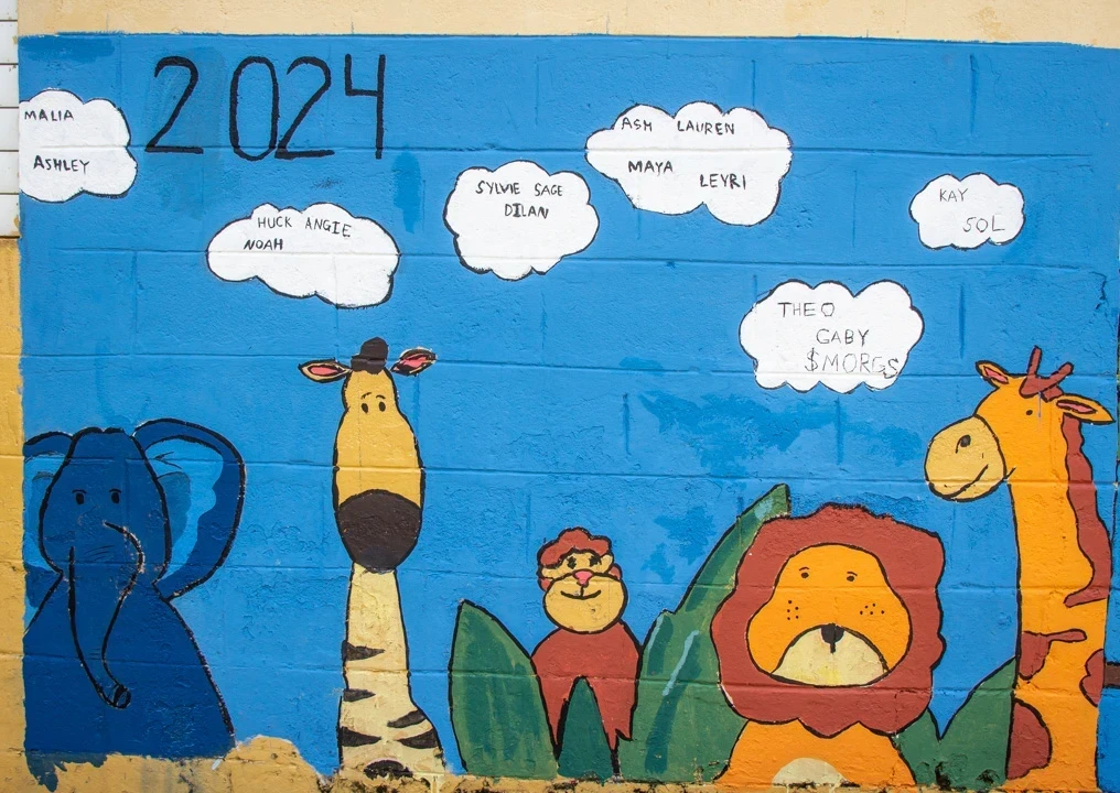A colorful animal mural painted by VISIONS teen volunteers in the Dominican Republic for a Kindergarten playground 2